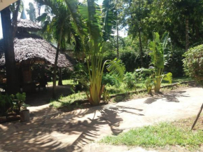 serene home in DIani